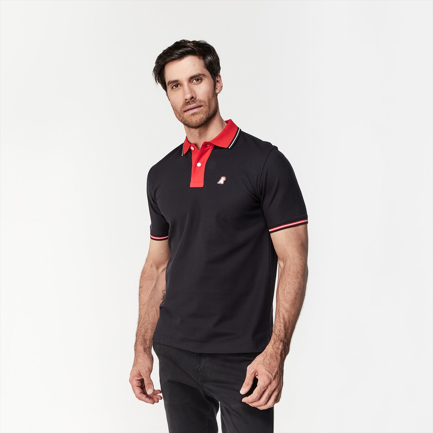 Men's Contrast Collar Striped Polo Shirt - JAMES BARK