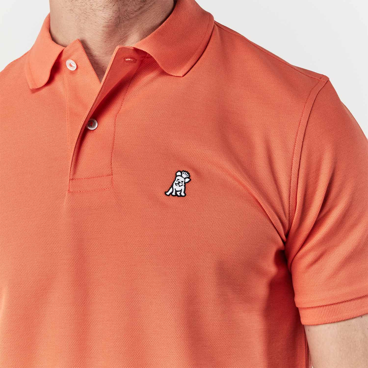 Men's Regular Fit Polo Shirt - JAMES BARK
