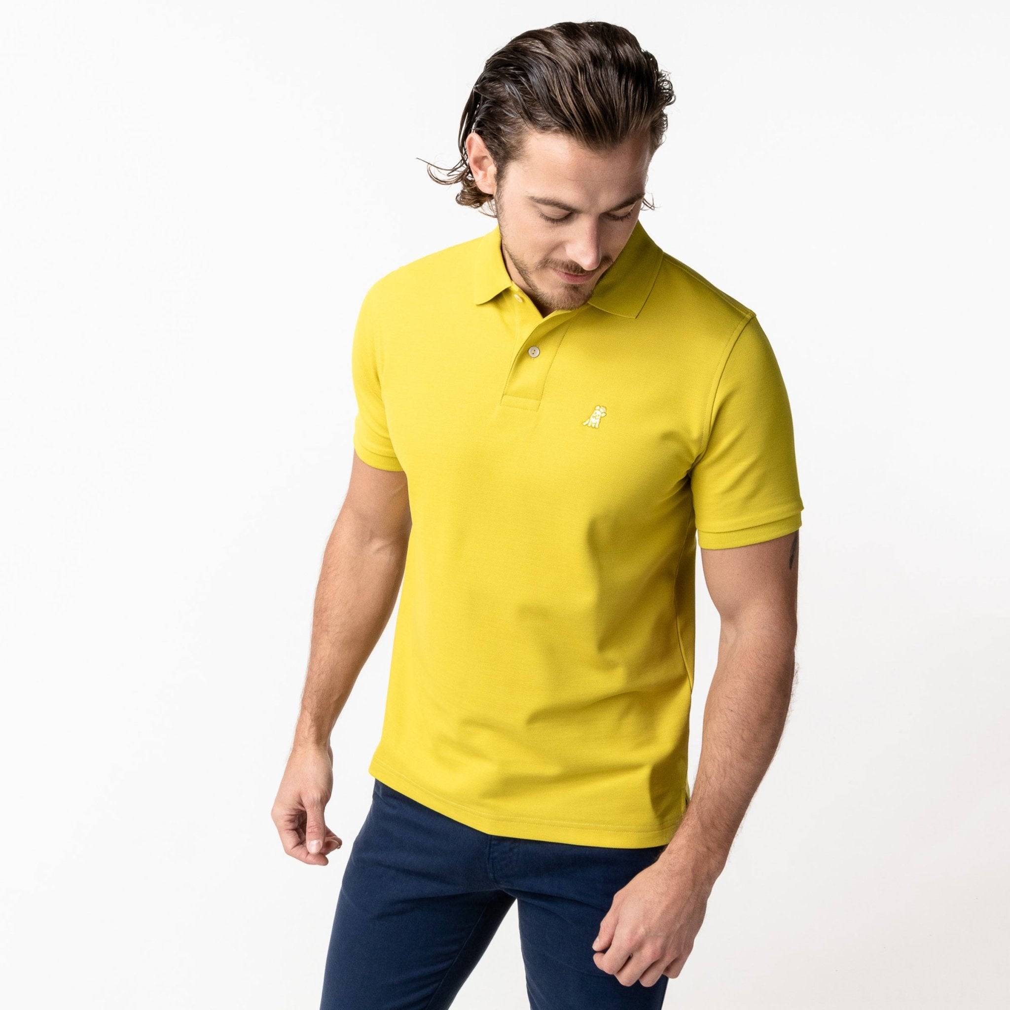 Men's Apple Green Regular Fit Polo Shirt - Apple Bark - JAMES BARK