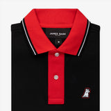 Men's Contrast Collar Striped Polo Shirt - JAMES BARK